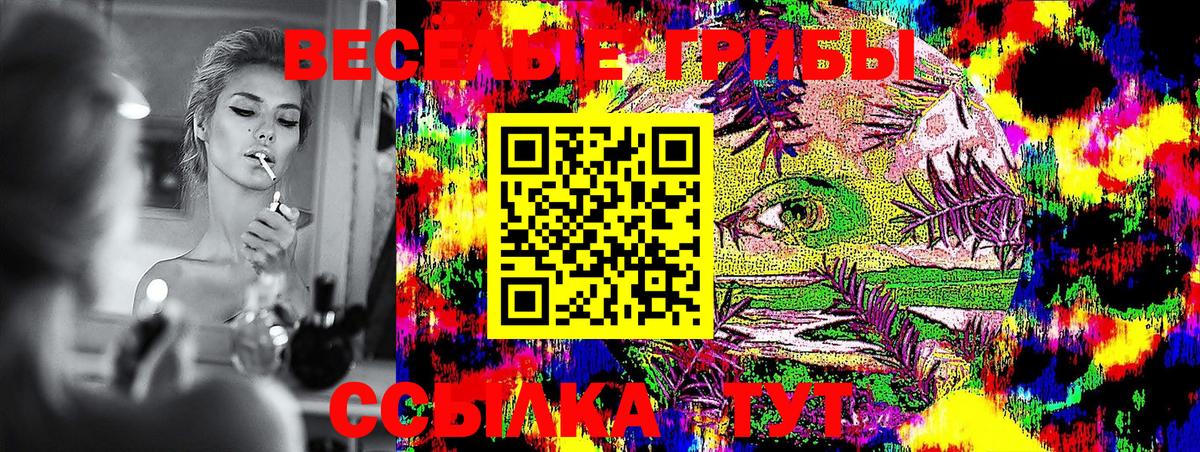 Чусовой  Псилоцибиновые грибы Cubensis  Вход с VPN 